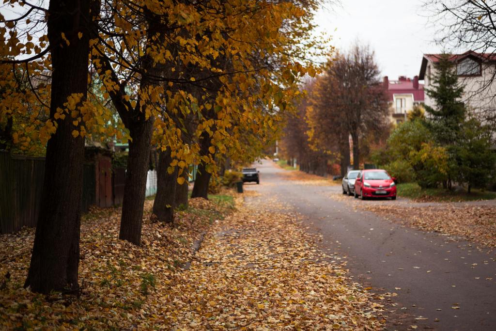 Investigating Neighbor Safety: 5 Reasons to Conduct a Background Check